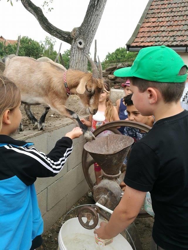 Bari Tanya Hotel Kisnána Екстериор снимка